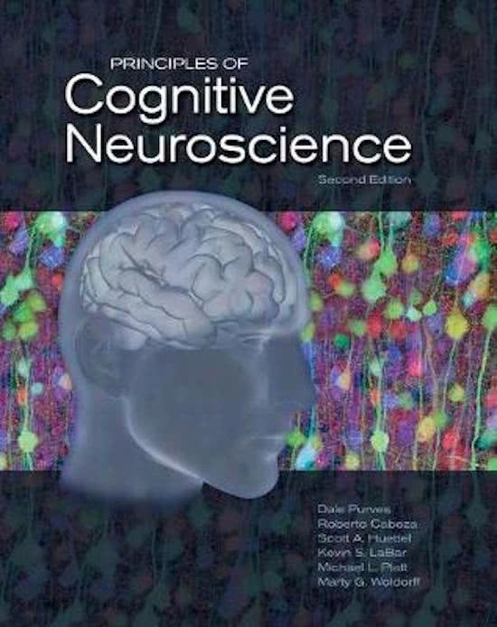 VOLLEDIGE samenvatting h6 en h7 cognitive neuroscience van purvces