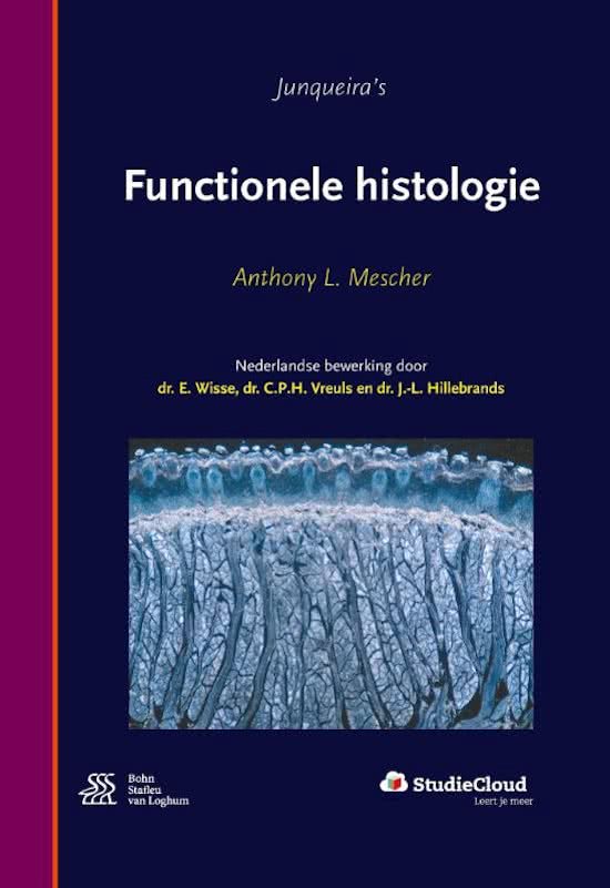 Histologie & Histopathologie: Nier en Urinewegen